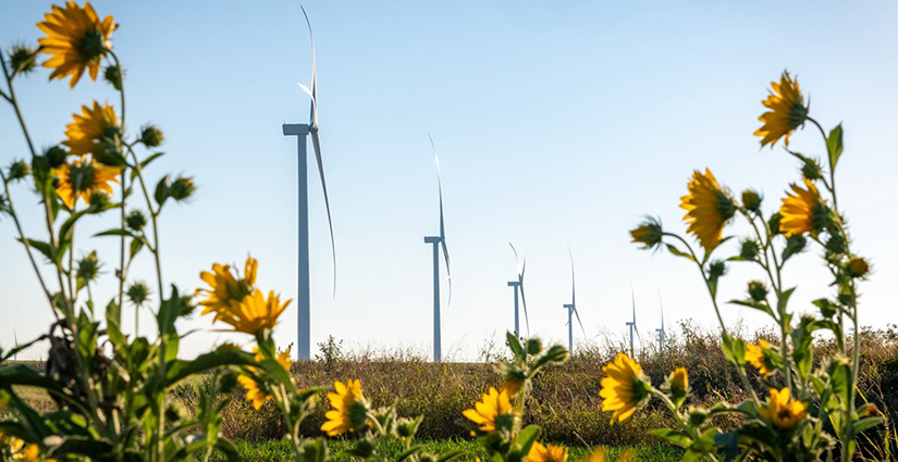 What Does the Wind Energy Horizon Look Like?